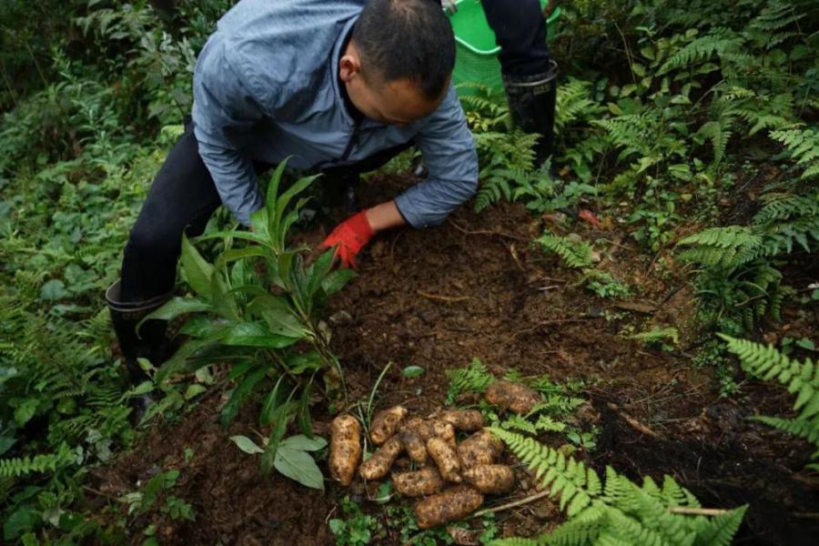 唐朝晖丨这里的水飘在空中，风把雾从水里吹出来