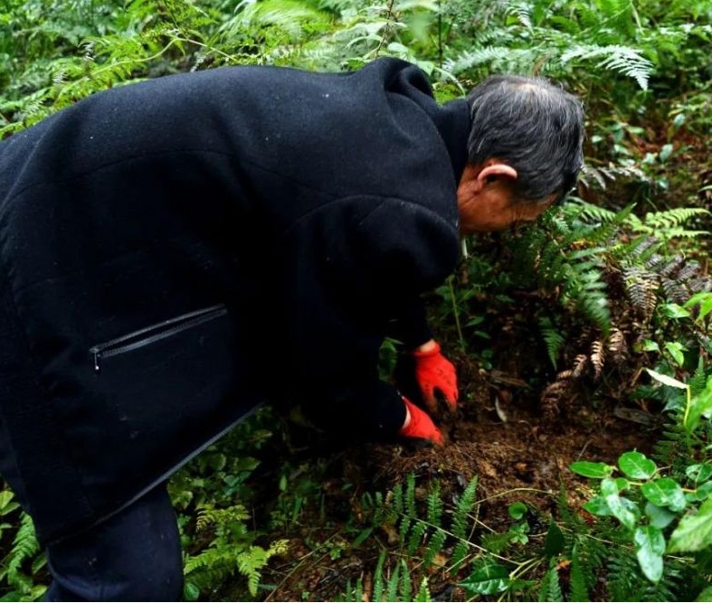 唐朝晖丨它的叫声跟娃娃哭的声音一样